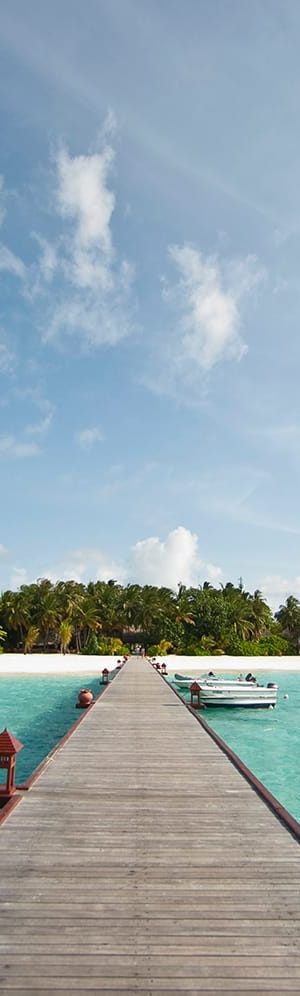 jackie-tsang-458443-unsplash_s